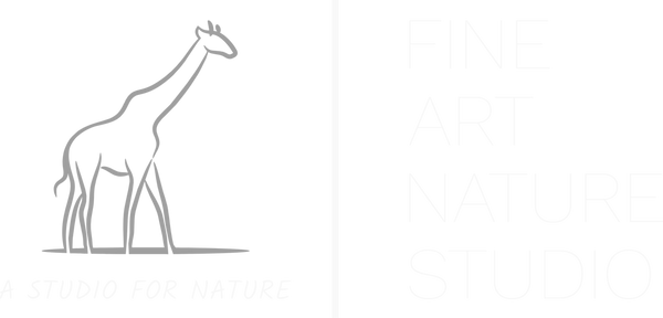 Fine Art Nature Studio